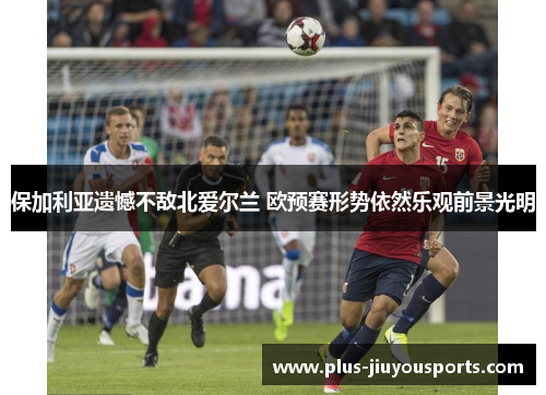 保加利亚遗憾不敌北爱尔兰 欧预赛形势依然乐观前景光明