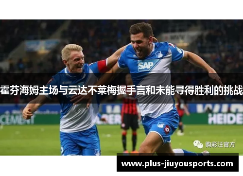 霍芬海姆主场与云达不莱梅握手言和未能寻得胜利的挑战