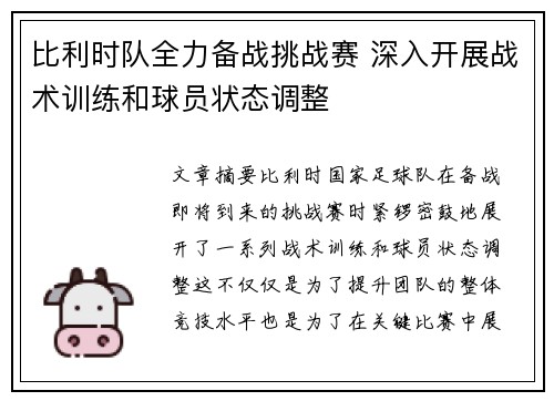 比利时队全力备战挑战赛 深入开展战术训练和球员状态调整