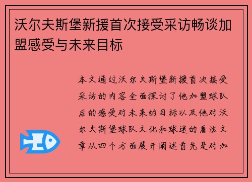 沃尔夫斯堡新援首次接受采访畅谈加盟感受与未来目标