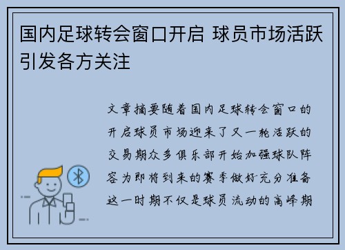 国内足球转会窗口开启 球员市场活跃引发各方关注