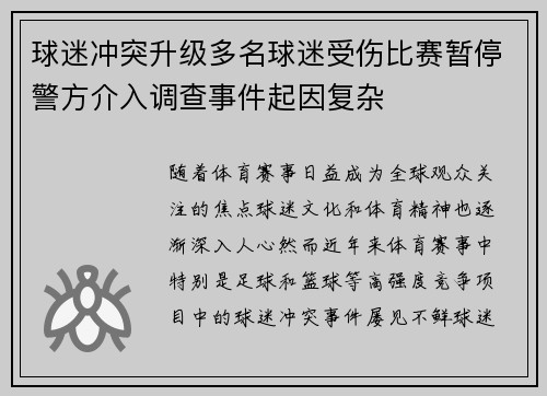 球迷冲突升级多名球迷受伤比赛暂停警方介入调查事件起因复杂